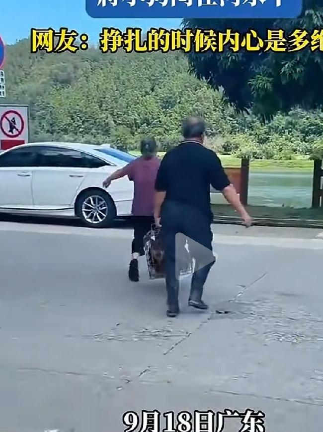 两个老人把狗关进狗笼子，随后将关有狗的笼子直接扔进河里，老人用脚踩住笼子恐怕狗子