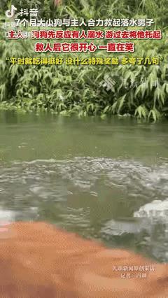 情侣带狗去河边玩耍，河里有四个男子在深水区游泳，游在最后面的男子突然开始挣扎，疑