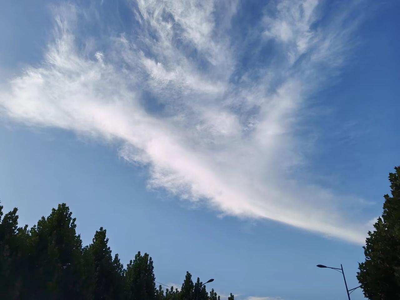 人的一生有四个定数：————第一，富贵天定有人拼命努力，却与财富无缘，有人