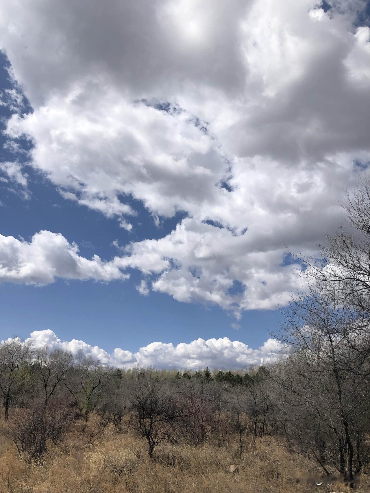 医保共济落地！别高兴太早，背后现实很骨感5月起，职工医保跨省家庭共济全面实施