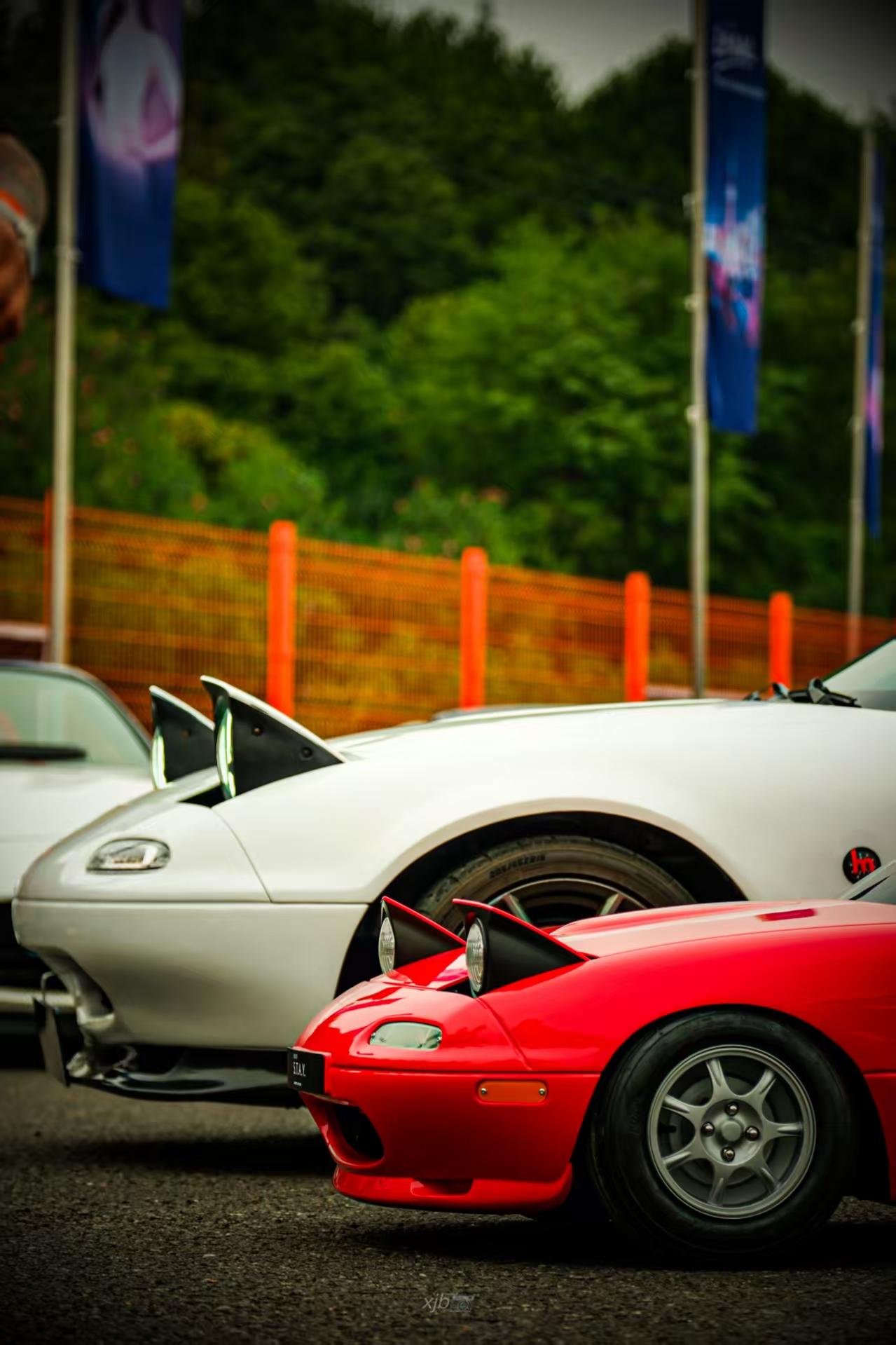 跑车虽然很多，比如法拉利，兰博基尼等也很酷，但可爱的跑车就不多了，我觉得马自达M