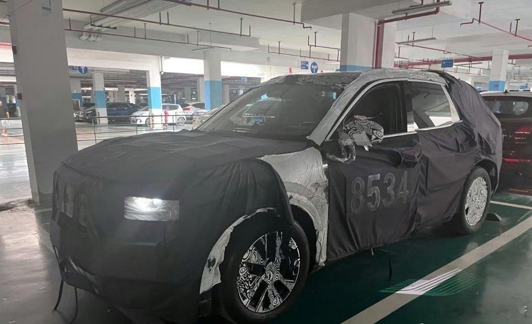 极氪8X大V聊车极氪9X马上出了，现在8X兄弟也蓄势待发[不愧是你