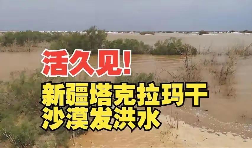 地球真的生病了？塔克拉玛干沙漠迎来暴雨，中国最干的地方发洪水一天下了64.7