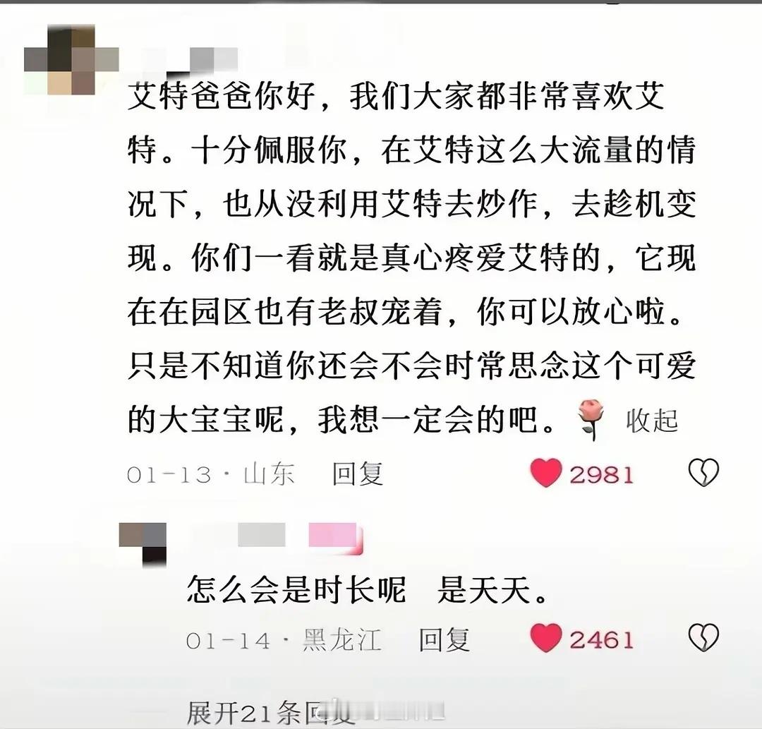 我只说艾特这个事营销它原主人多爱它的真的特别特别搞笑，还有什么说多不得已的也很搞