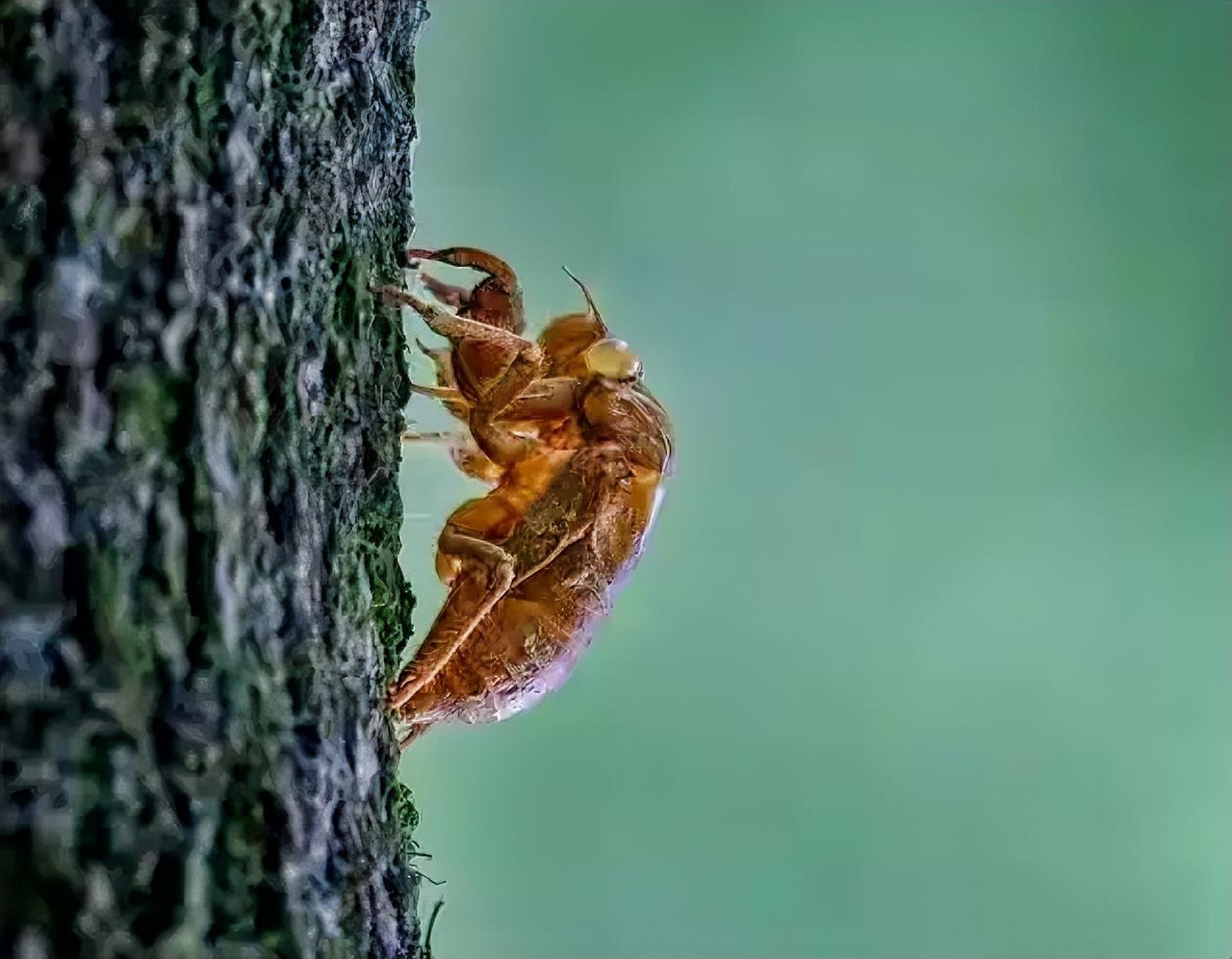 水为财，用好这6个“水”，让你左右逢源。为什么遇水则发？因为水本身代表着