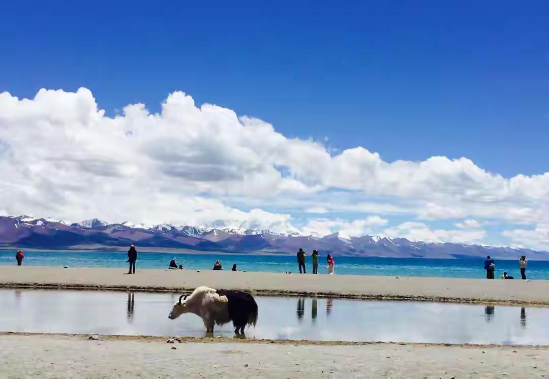 别再信“去过3个就算见过世面”这种话了。纳木错我去过，海拔4700多米，湖水