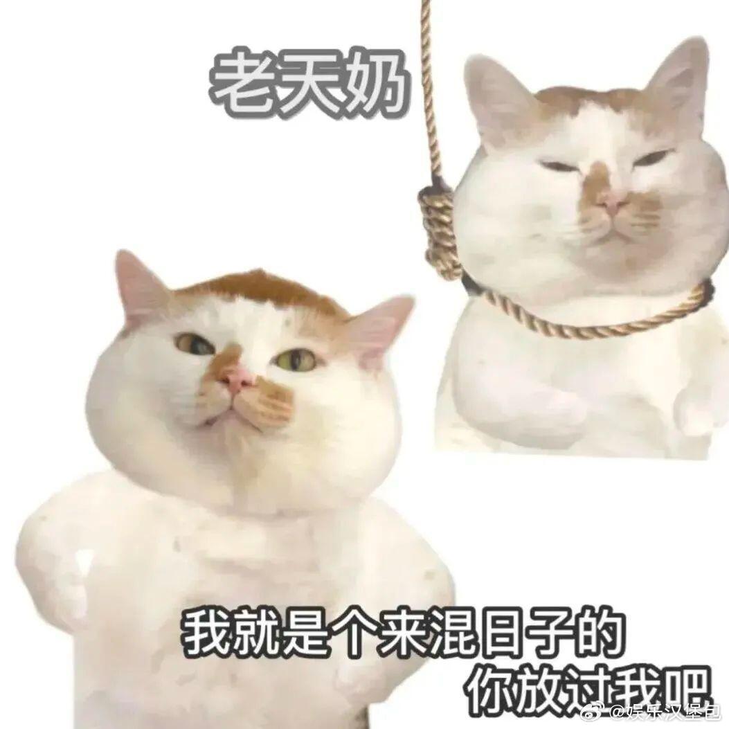 最实用的服装设计出现了孕妇裤腰是可调节魔术贴，从孕早期穿到孕晚期，肚子再大也不