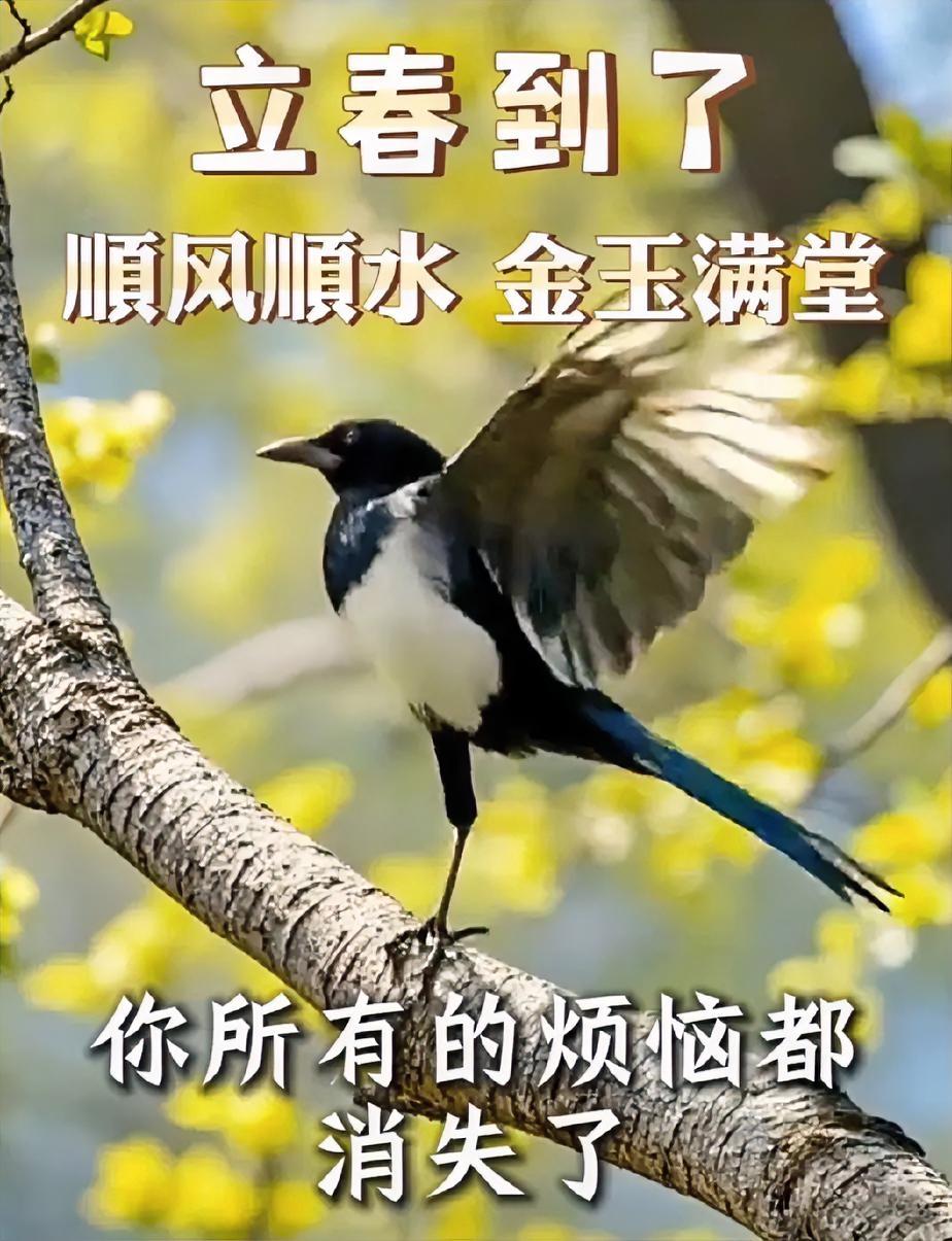 今天的“立春”60年一遇！你今年的好运从此刻开始，所有的烦劳也从此刻消散！为什