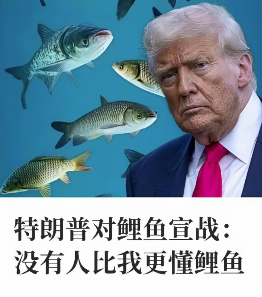 伊朗战争还没有打完呢，特朗普宣布再发起一场战争！咱就是说，伊朗那边的战火还没