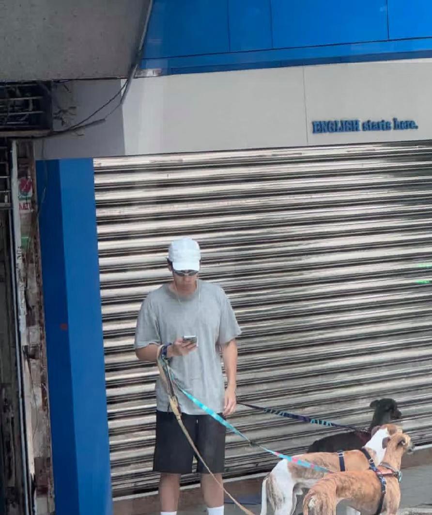 彭于晏牵着三条大型犬外出散步，这种大狗真的太可怕了，还好他牵着绳，不然路人都要被