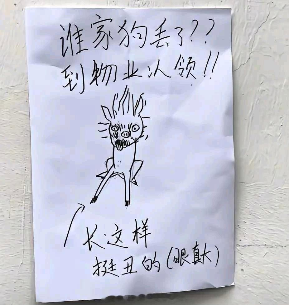 乍一看还以为乱画的，没想到真长这样