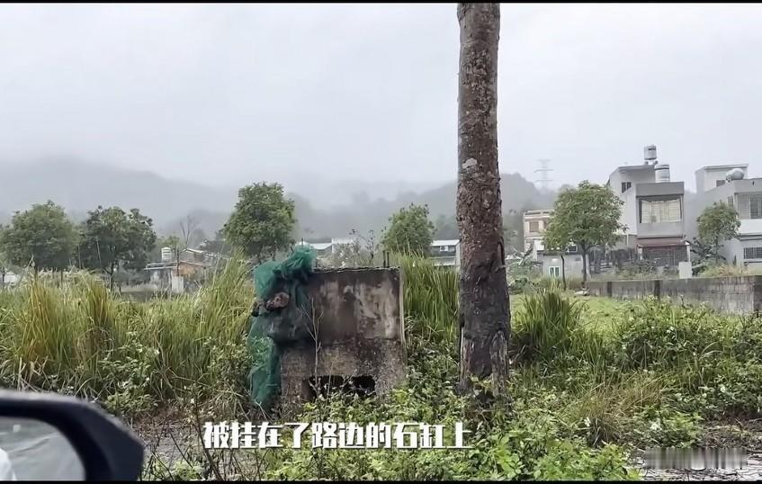 太可怜了！这天一位小哥哥和朋友一起开车去玩，当他们开到一个小村庄的时候，听到路边