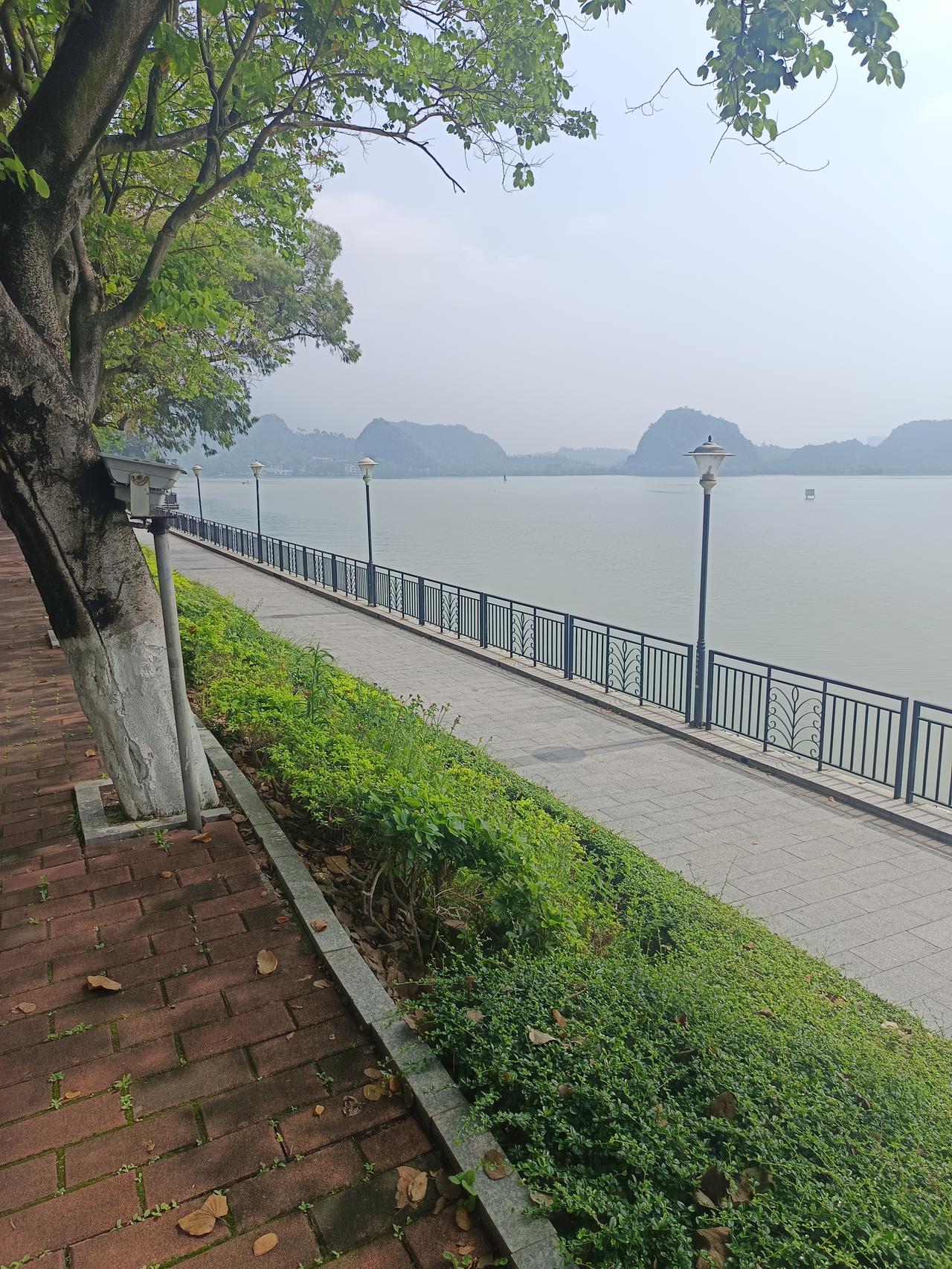 我终于知道了肇庆虽然有两个5a级风景区却依然没有什么游客的原因你