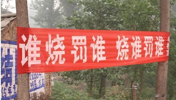禁烧秸秆的意义是什么？有什么好处呢？每年麦收完和秋收后，各村各镇都有巡查员在地里