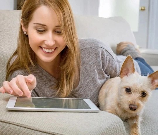 为什么人千万不要长期呆在家里长期待在家里会从生理、心理、社交多维度打破人体的动态