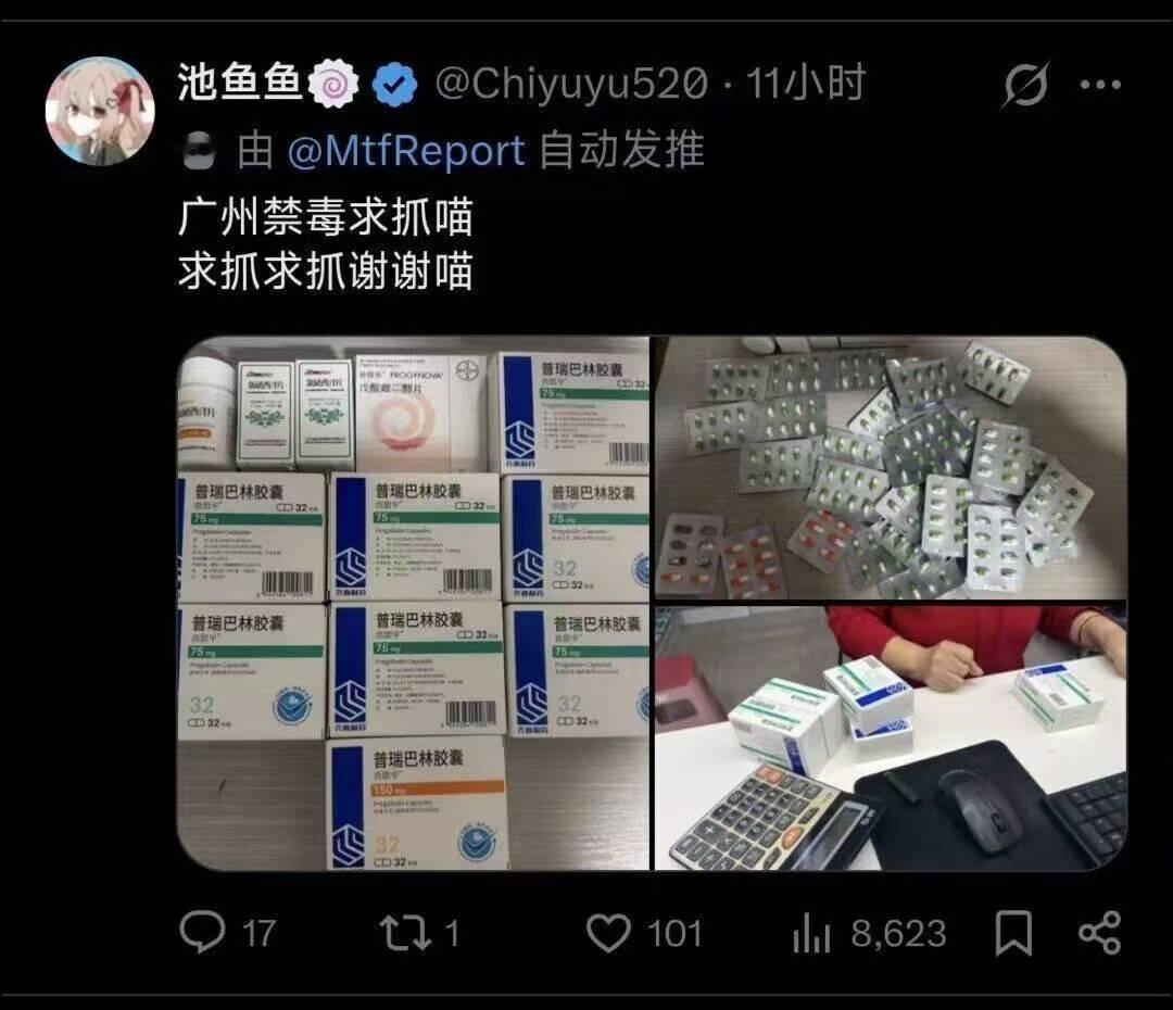 这下满意了