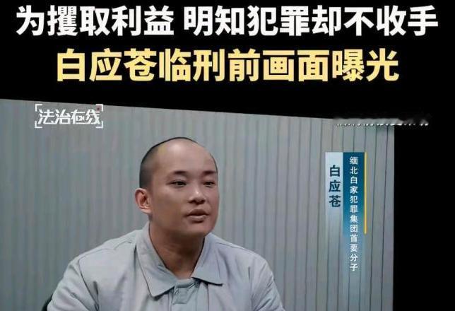 电诈给我们造成的损失超万亿。平心而论，像缅北那四大家族，听上去这名头好像挺唬人，
