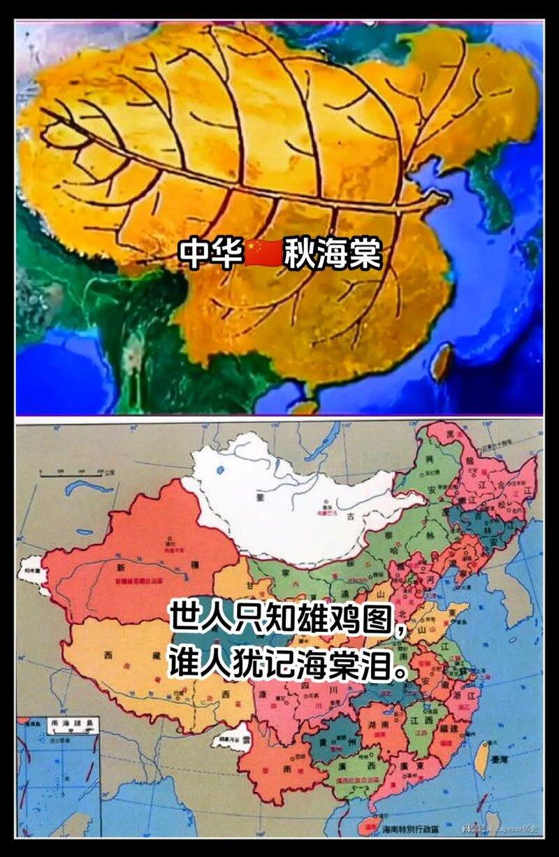 秋海棠血泪：万里海疆的民族之憾晚清腐朽落后，军备废弛，在沙俄逼迫下签订多份不