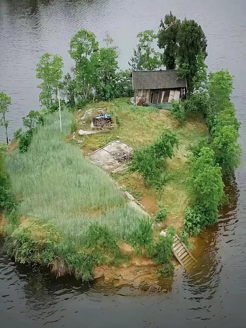 如果让你在这个小岛上生活一年，你愿意吗？给你50万。