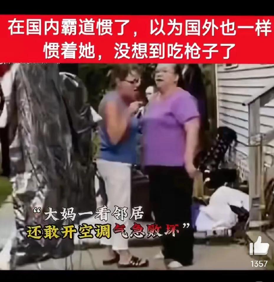 在国内霸道惯了，以为到了国外别人同样会由着她，没想却吃了几粒花生米。一中国大