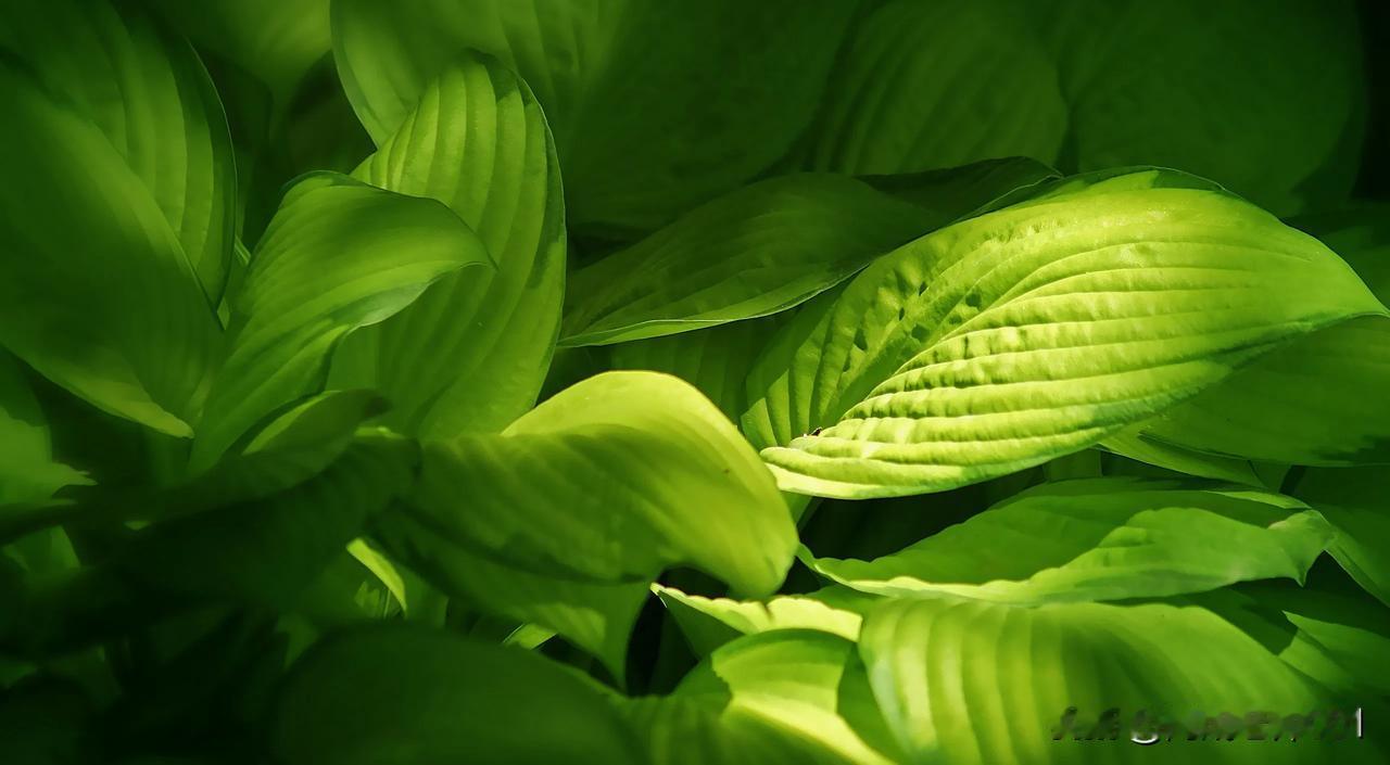 上世纪八九十年代，大学毕业生凤毛麟角，工商、税务的招考只须具备高中文凭，不过，只