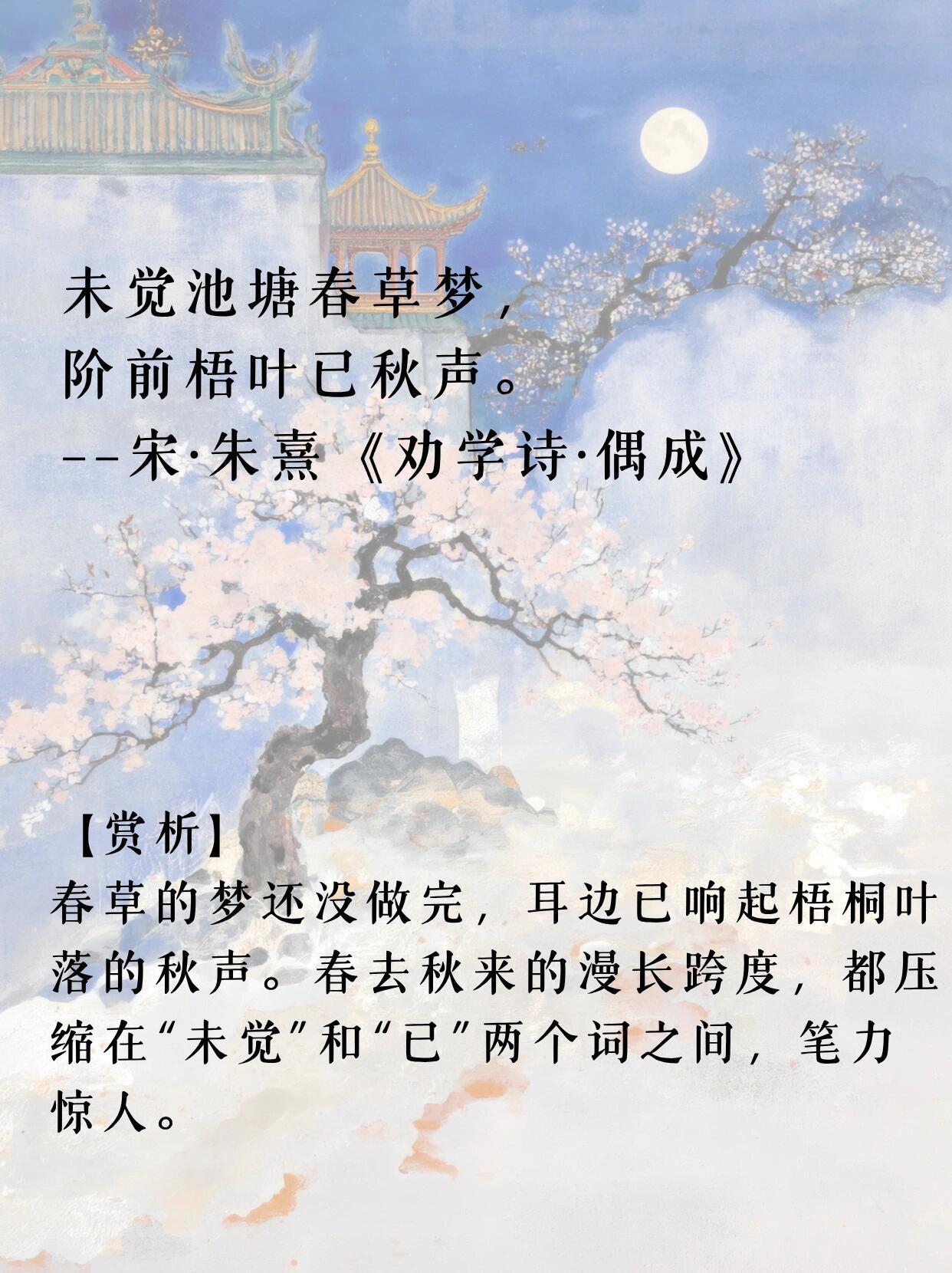 哪一句诗，最让你意难平？年少不解诗中意，再读已是诗中人。​​​