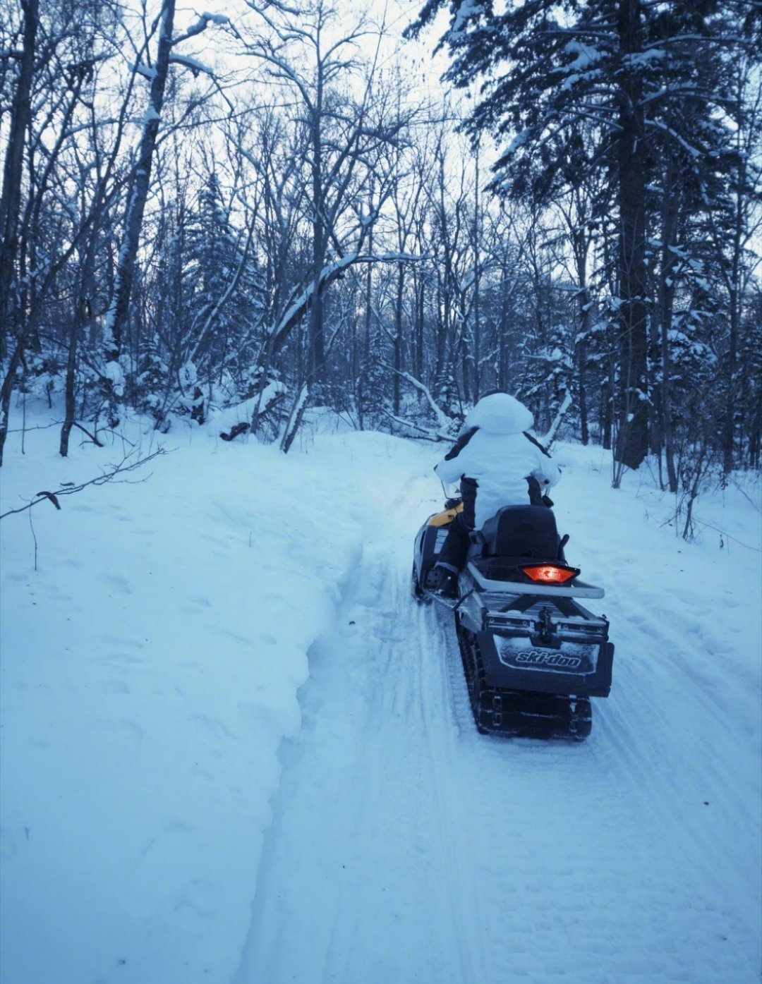 啊哈哈哈哈胆小又爱玩只有你了！关晓彤屁垫是腊八蒜吗