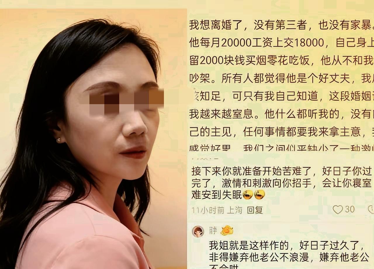 “月薪2万上交1.8万，副业12万也全扔家里，家务全包，还被离？这女的是不是傻？
