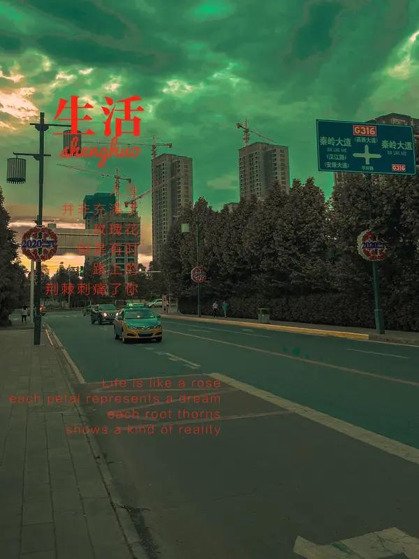 慢一点，才是生活最好的节奏在这个凡事都讲究“快”的时代，我们好像被一只无形的