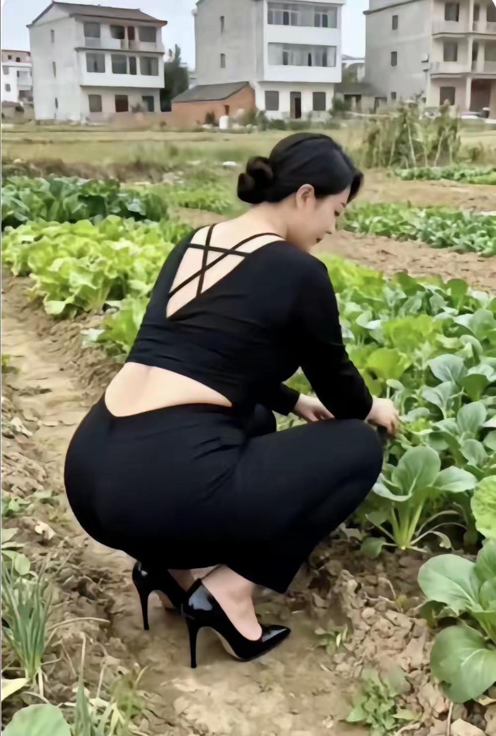 以前穷到吃不起肉现在穷到只能吃肉蔬菜价格已经替我做出了最“油腻”的选择