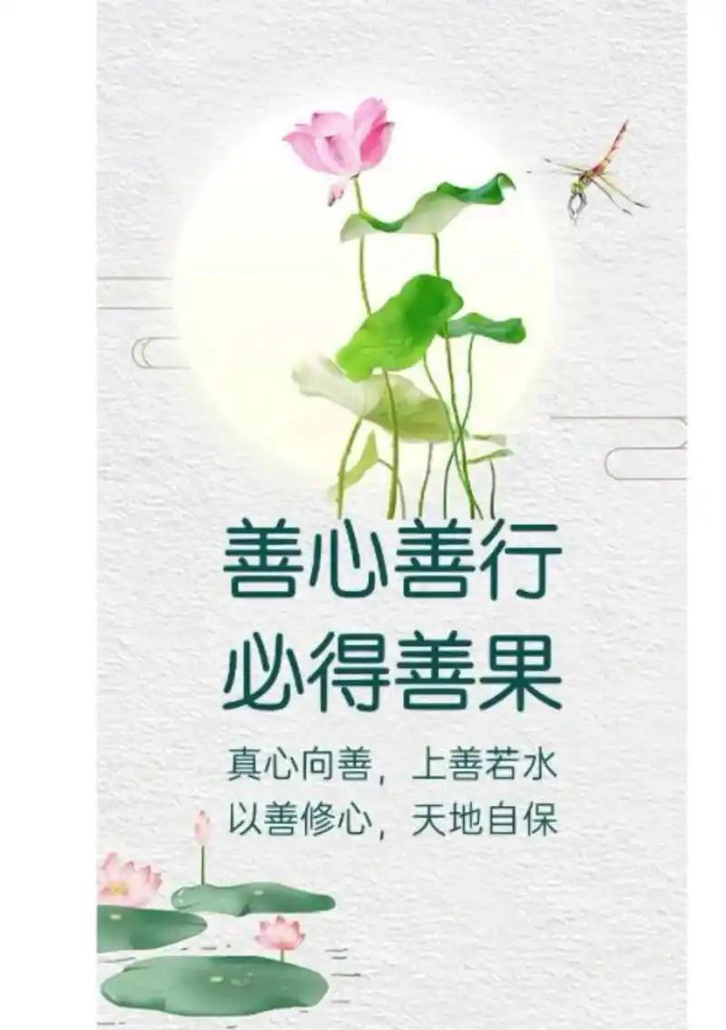 心善益处诸多首先，心善是对自己最大的“放过”。做坏事者内心总有疙