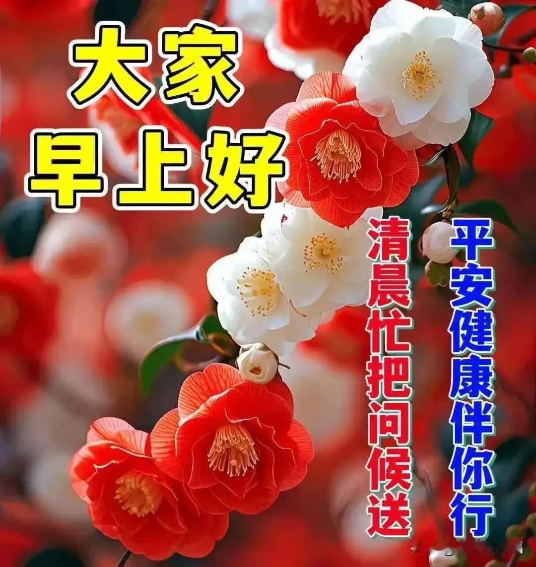 早安问候：冬意渐浓，与美好相遇，与岁月相陪。照顾好自己，才能温暖他人。愿我们都被