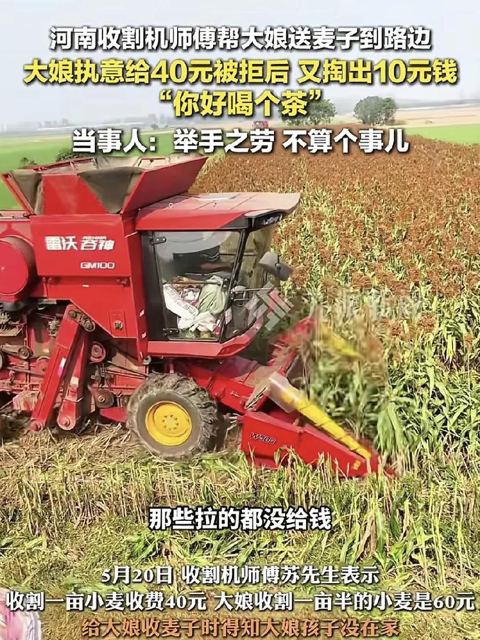 5月20日，河南南阳多地开始收割麦子，其中一位收割师傅在当地送粮食时遇见一位大娘