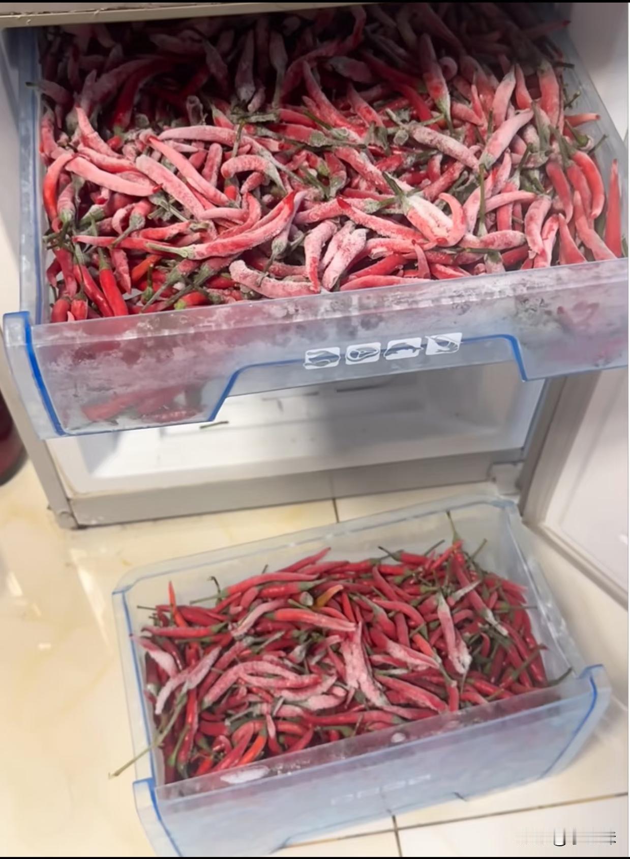 这是哪里人冰箱都这么生猛