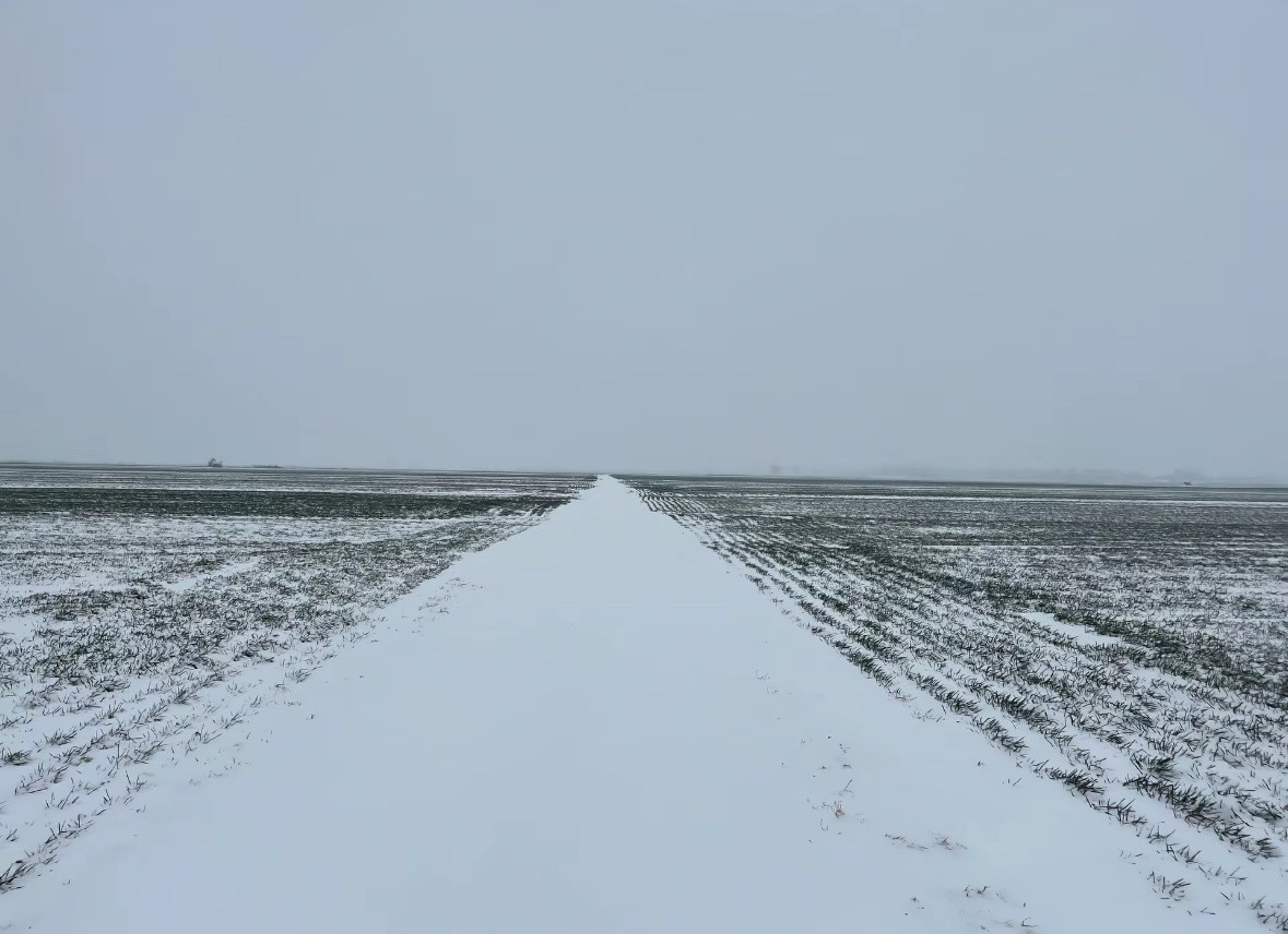 时间过的真快，去年仿佛在昨天，家里人说昨天下了大雪，瑞雪兆丰年