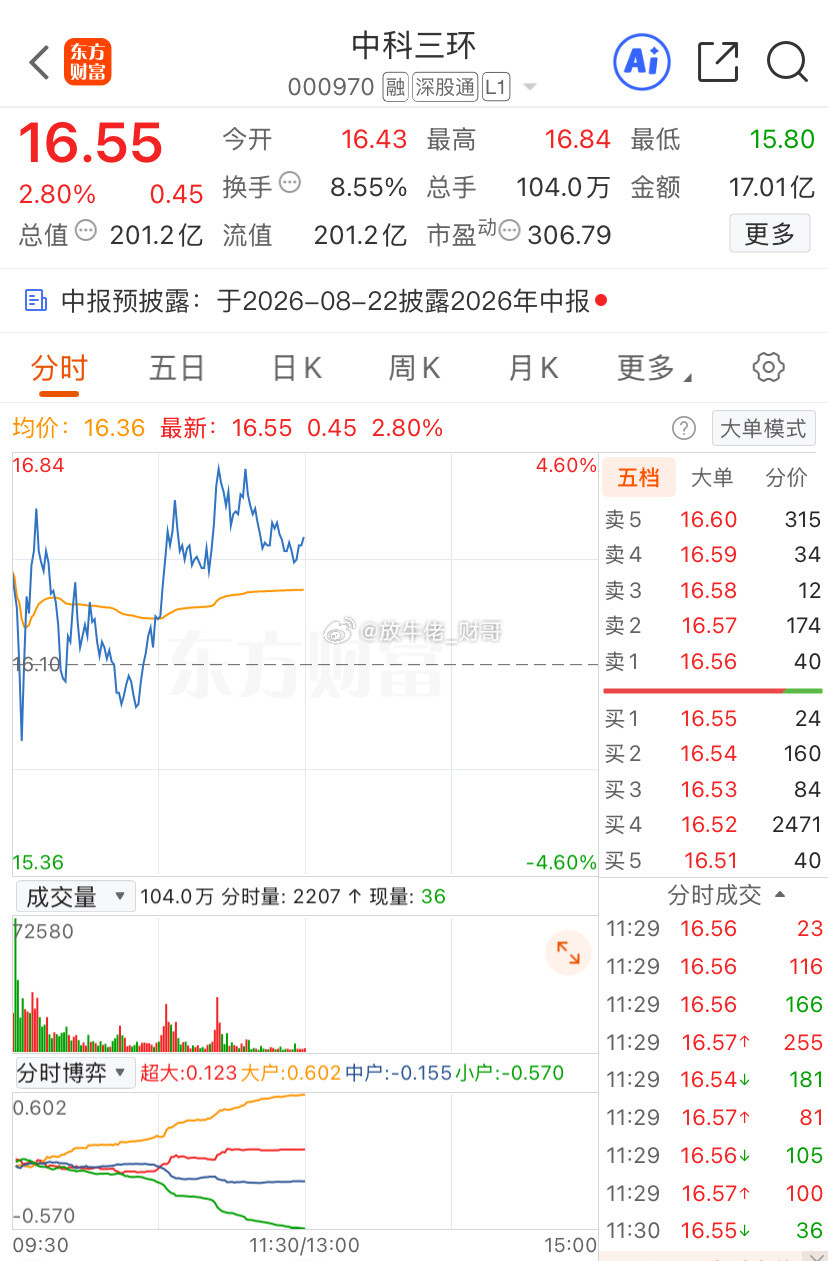 中科三环：全球第二、国内稀土永磁龙头企业，背靠中科院技术底蕴，深耕钕铁硼永磁数十
