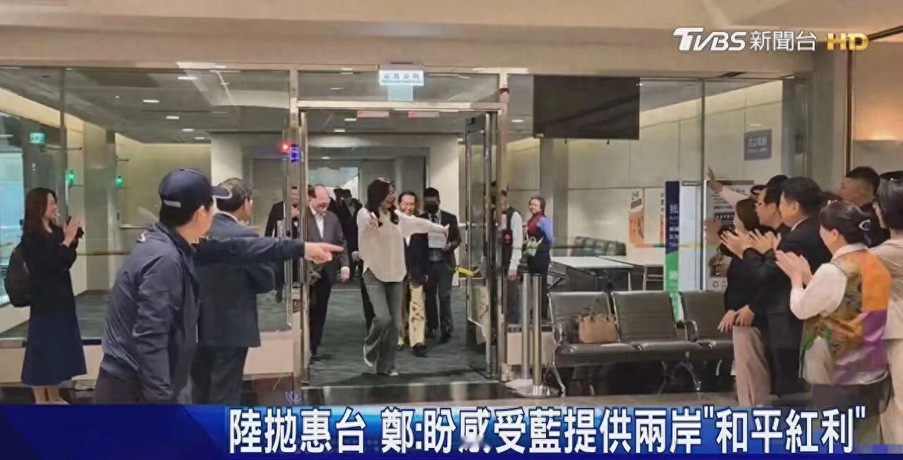 郑丽文大陆走了一圈，岛内炸开了锅。不是演习，是6天访问。南京、上海、北京转了
