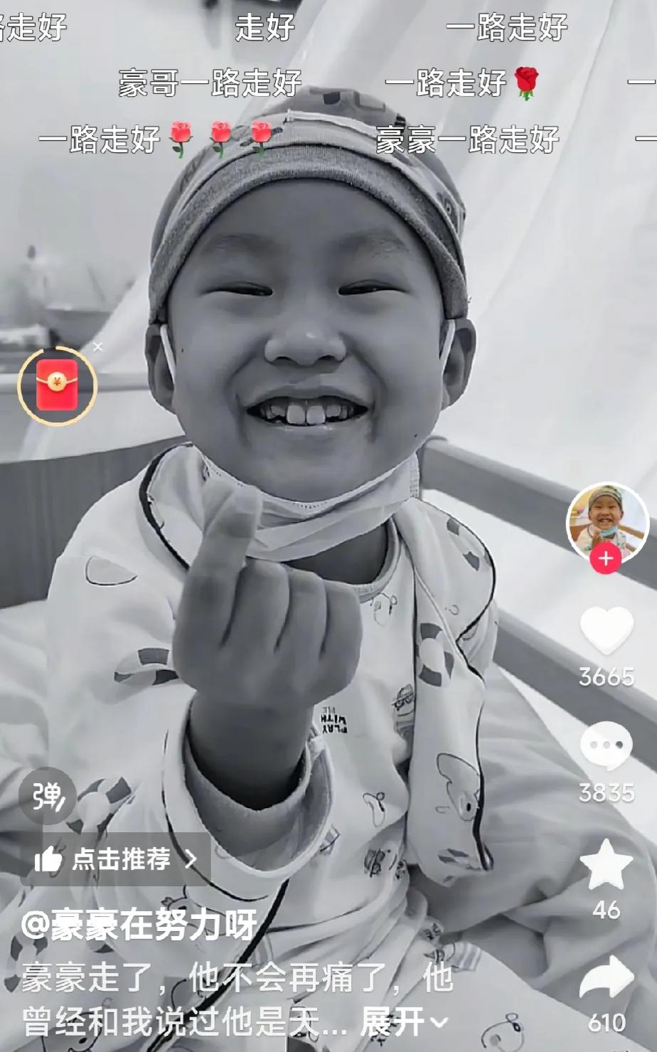 天啦！哭死！豪豪妈妈发视频说豪豪去世了，27日凌晨去世的！从1月12日被医生劝放