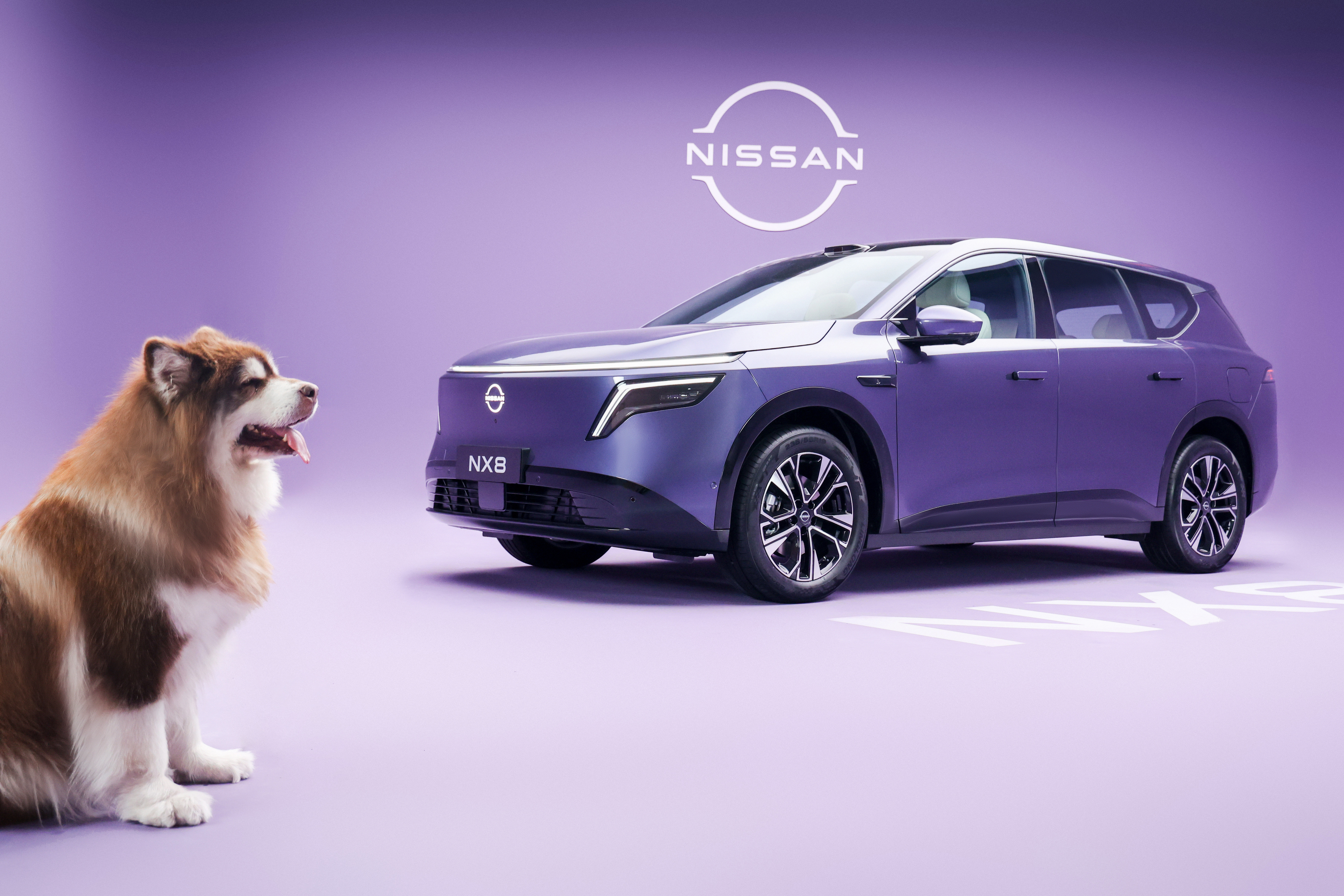 一台20万级的SUV，空间能大到什么程度？榴莲测试告诉你：后排头部空间，够1米8