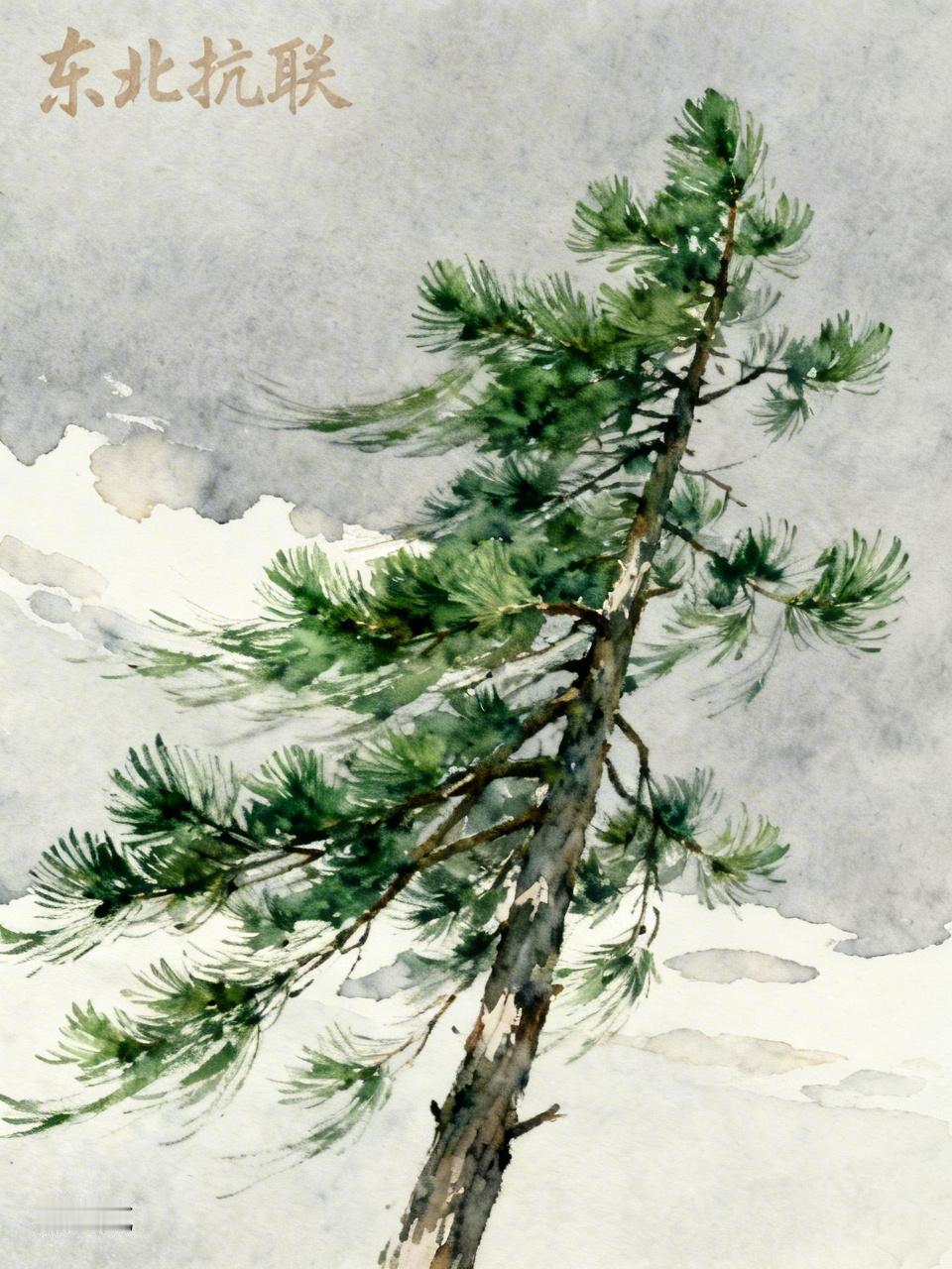 在白山黑水的东北大地上，曾涌现出无数抗日英雄。为便于了解，我按其主要所属阵营，将