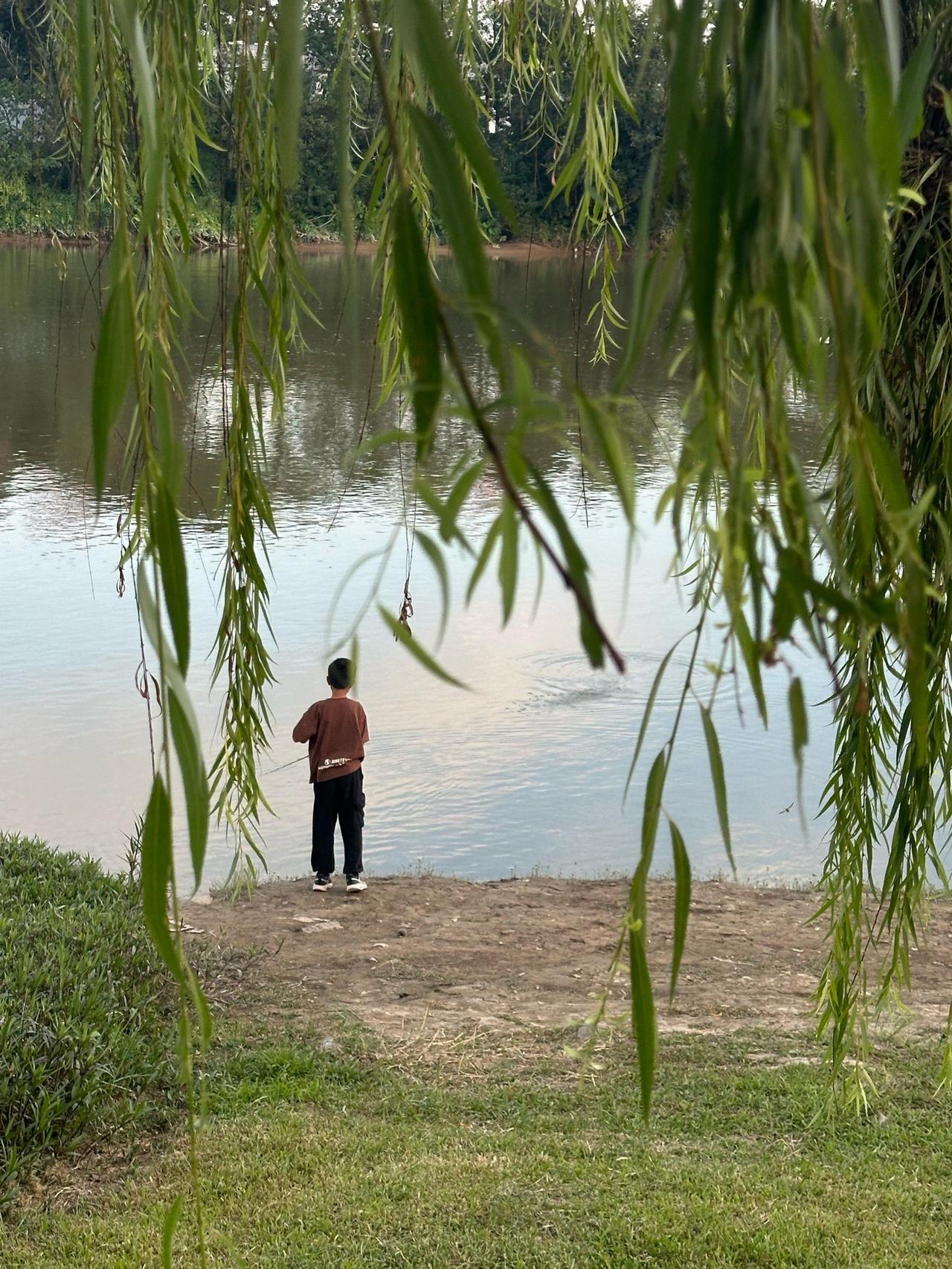 洱源网民留言反映茈碧湖开放垂钓后存在的问题，建议应加强茈碧湖水系的管理！近日网