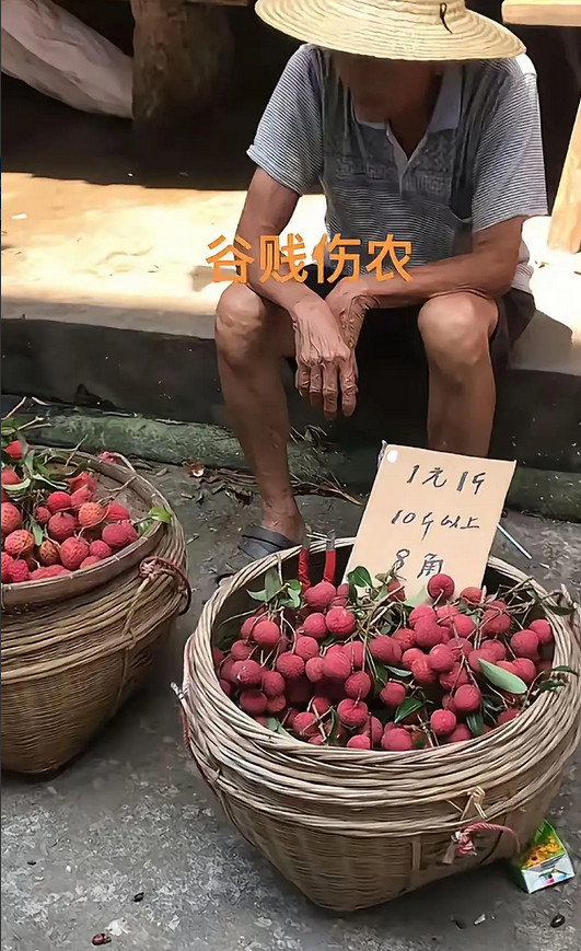 80岁的大爷担着两筐荔枝，这么便宜的价格，卖了几个小时，竟然无人问津，农民真的太