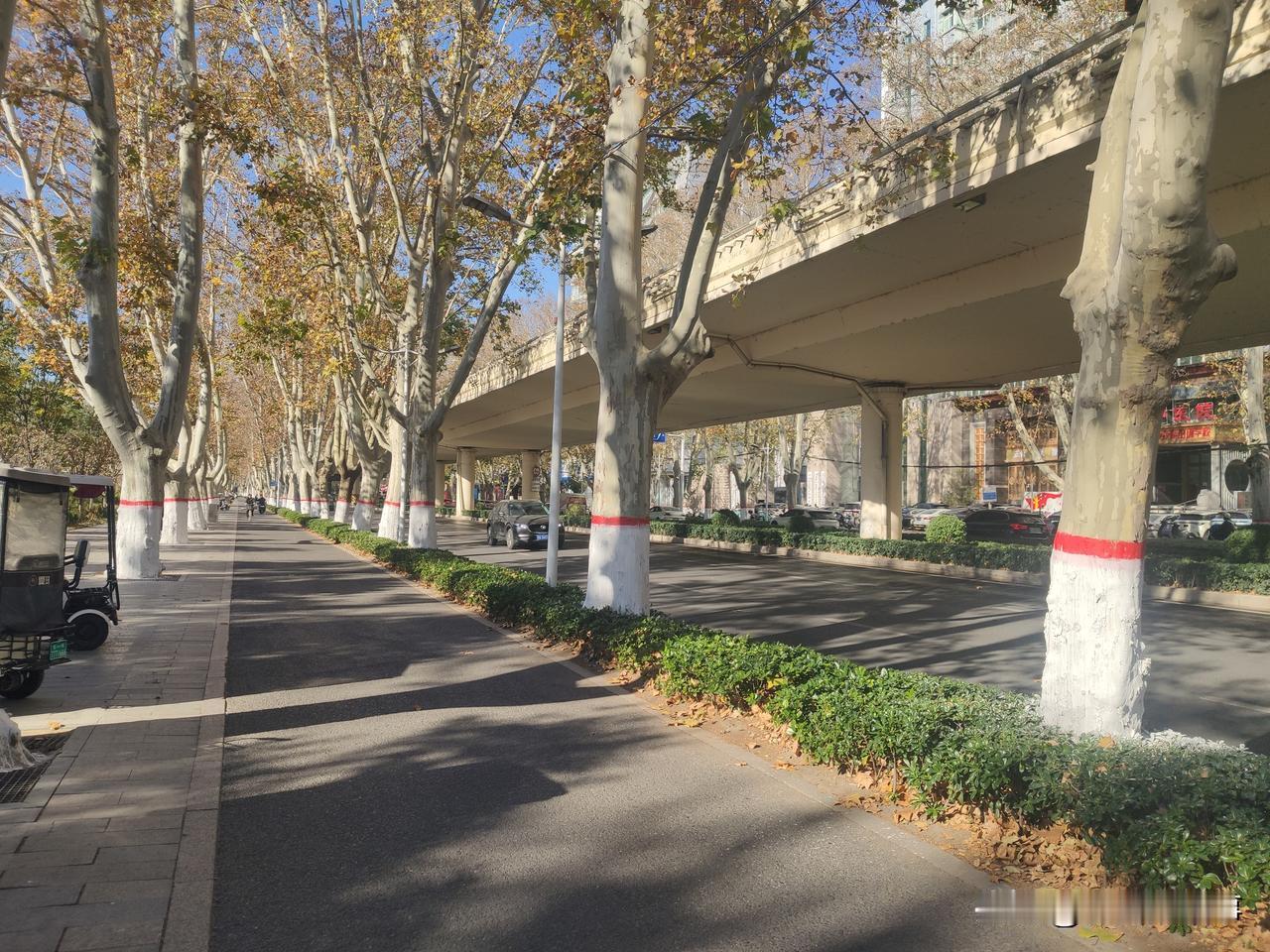 郑州街头随手拍:路上那些事儿，垃圾人无处不在！今天上午路过金水区防疫路金水路交