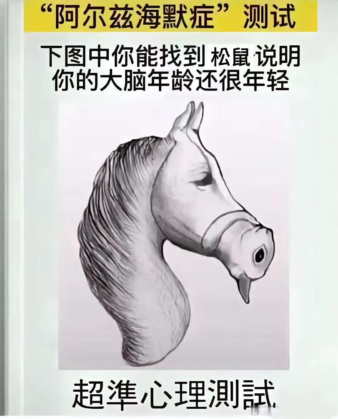 完蛋了我老了啥也没看出来[无奈吐舌]