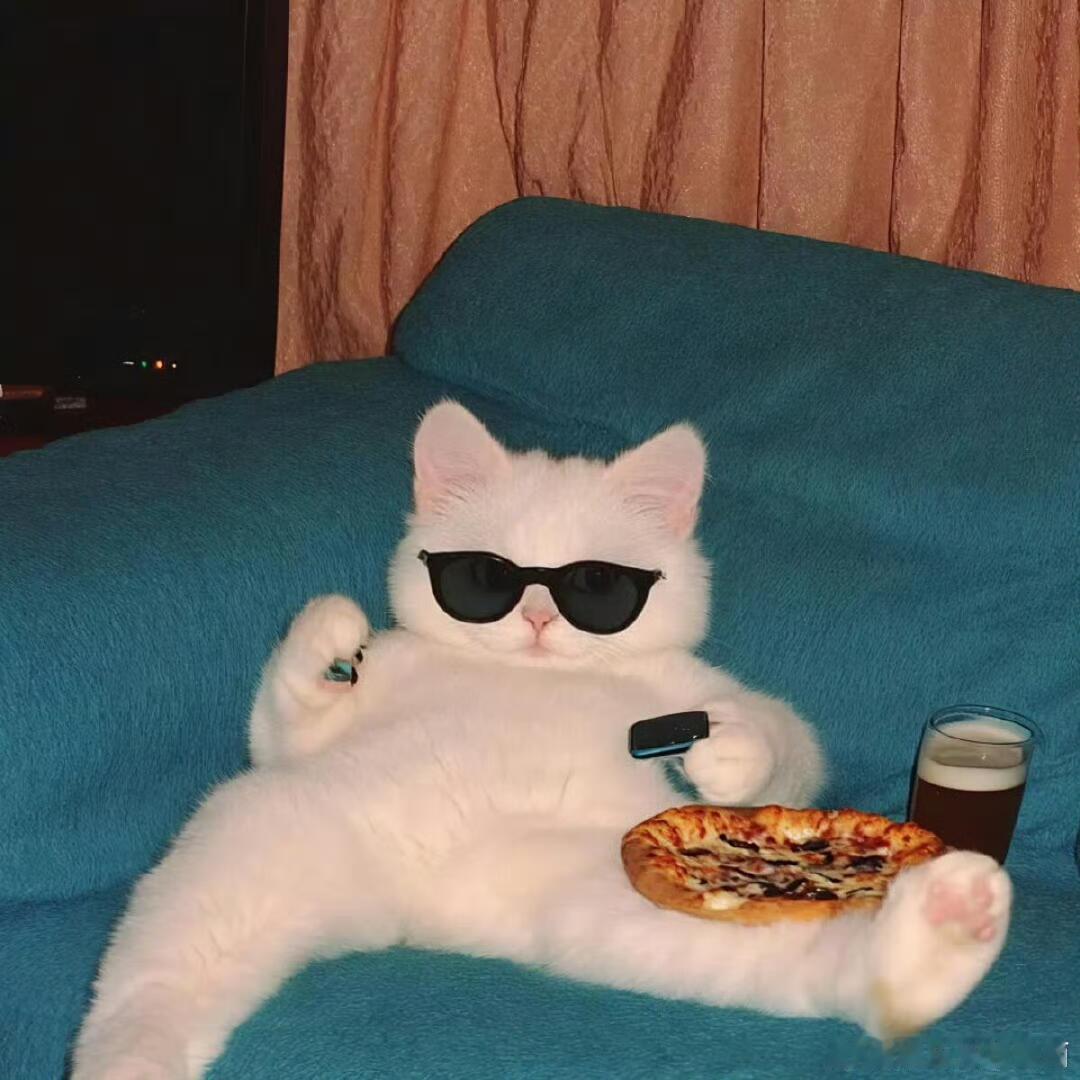 做赵露思粉丝真的好爽啊❗粉圈还在讨论今年到底集均3000➕就小爆还是4000➕小