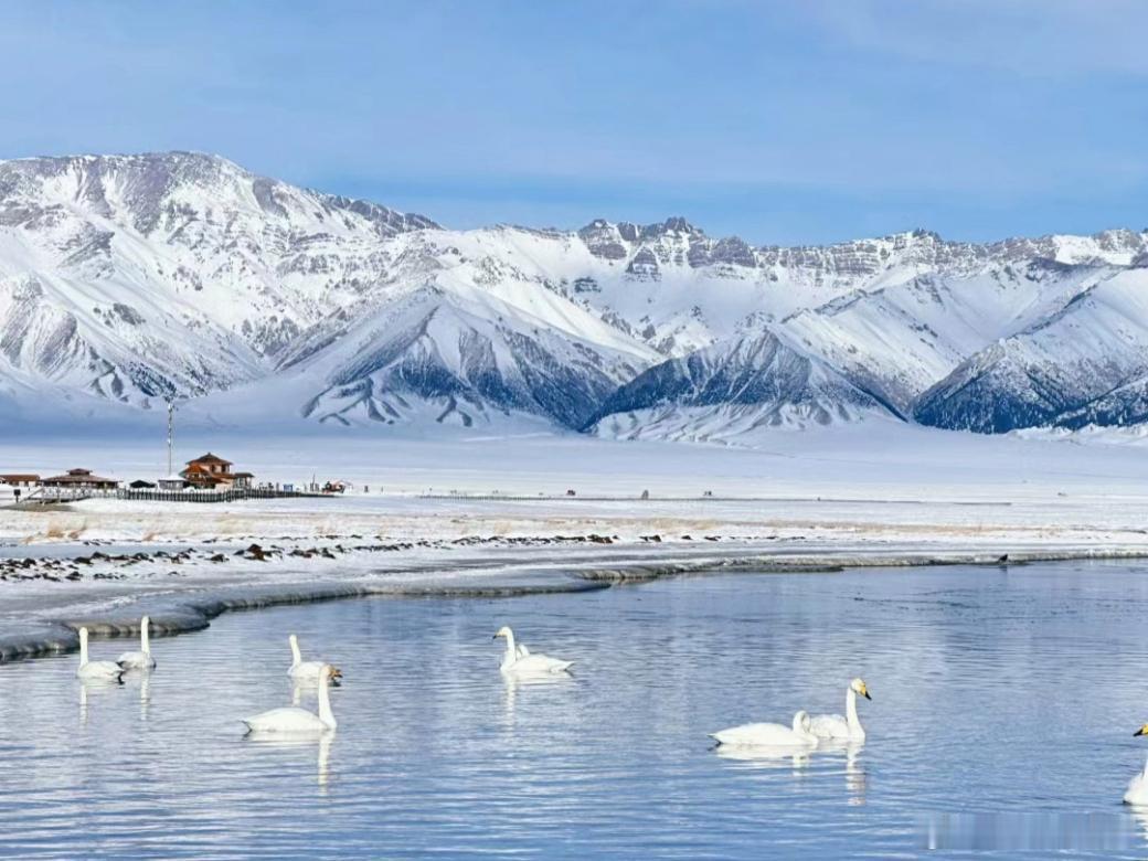 等一场白雪皑皑，邂逅一场纯净的浪漫～