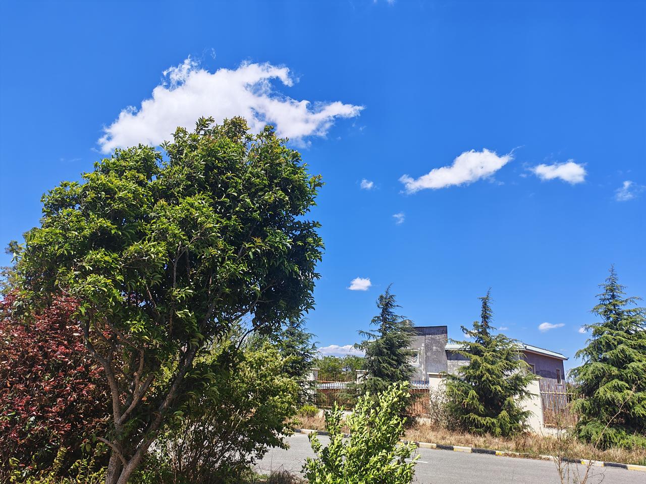 【写手搓小说一定要采风】为了写好一部关于乌蒙山中“改土归流”的手搓小说，我四处采