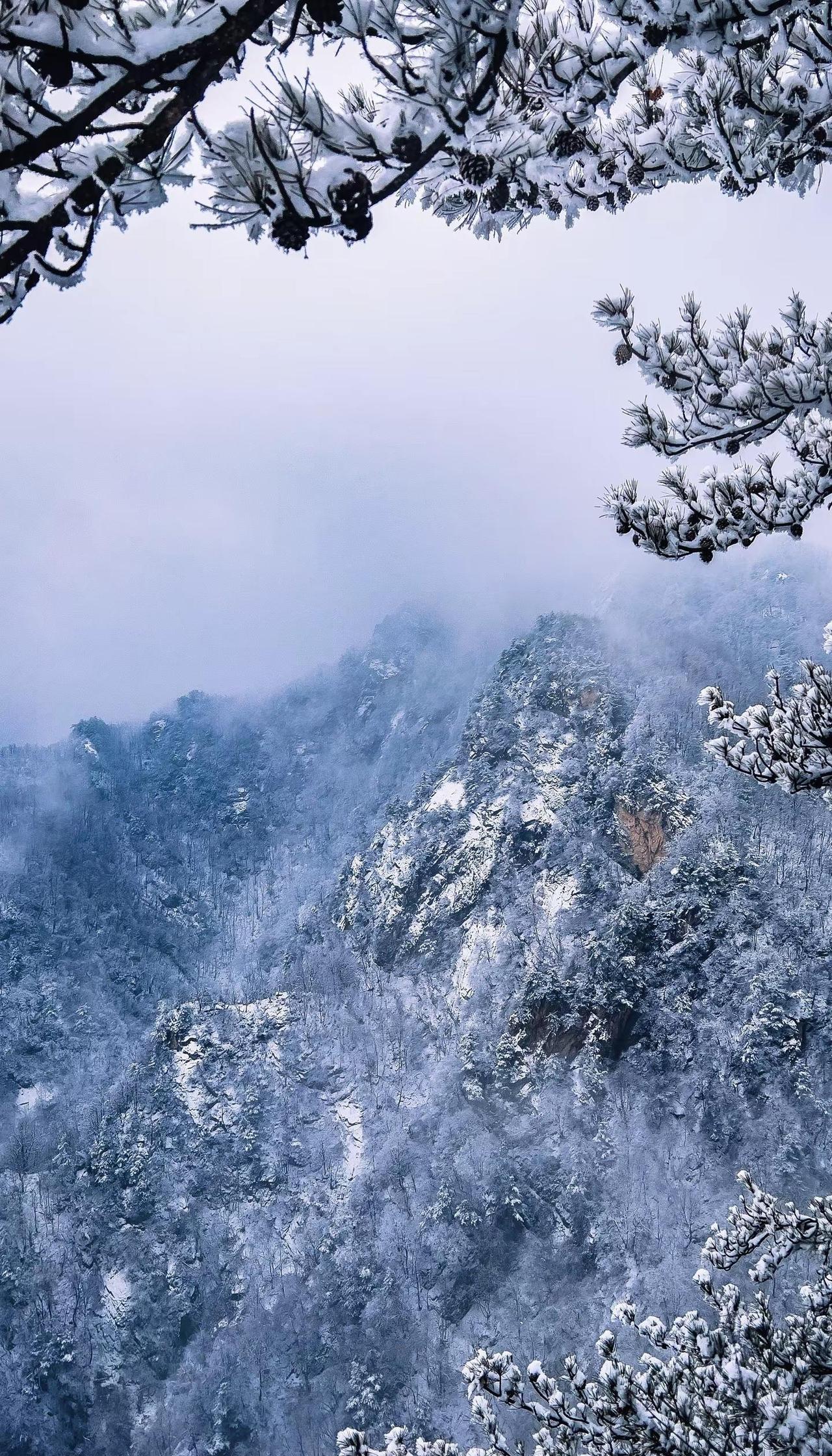 雪落成诗，世界安静的只剩下心跳，冬日的礼物，是这场不期而遇的纯白！攀登雪山雪山
