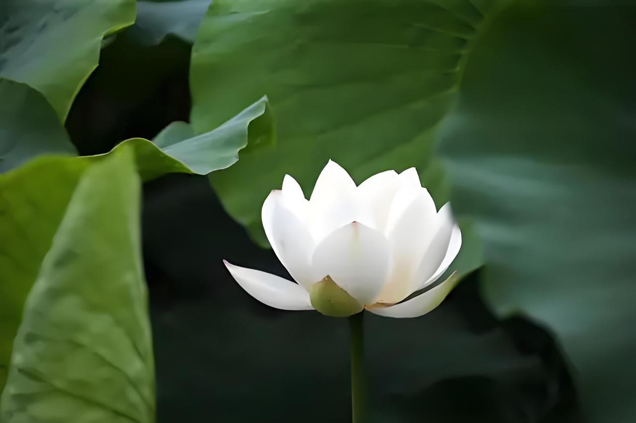 有一次，在一个老教授家闲聊，正好他家水管漏了，我帮着修，他老婆带着我翻厢倒柜找工