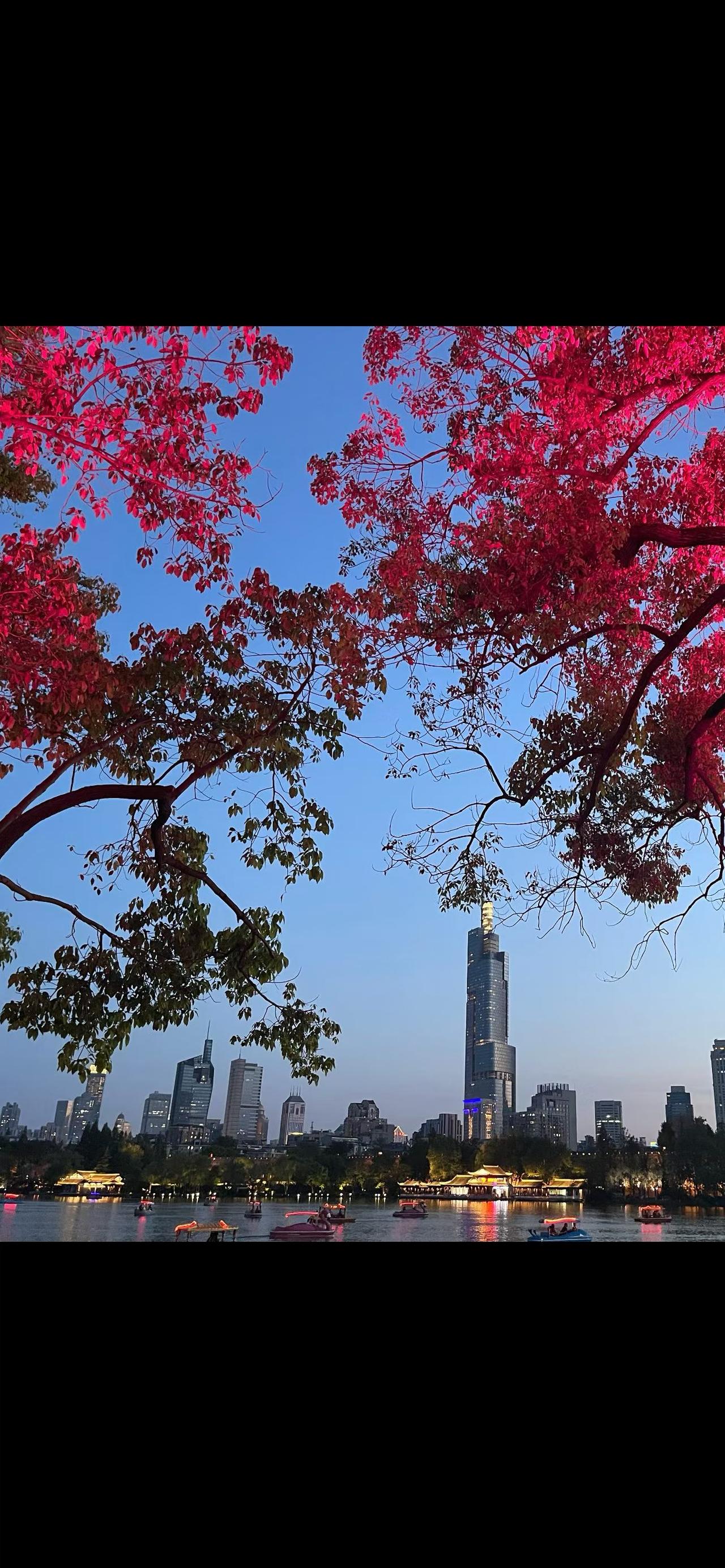 随着年岁渐长，我愈发觉得，不必害怕孤身一人，切莫为了排遣寂寞而强行融入不属于自己